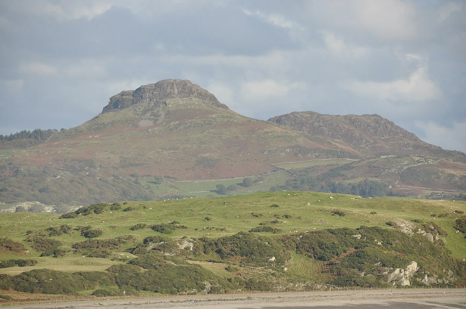 Moel y Gest